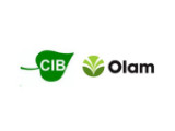 CIB (Congolaise Industrielle des Bois) - OLAM GROUP