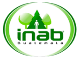 INAB (Instituto Nacional de Bosques)